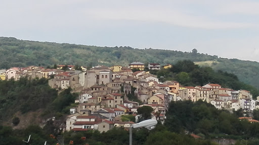 Petruzziello Enea - Thumbnail