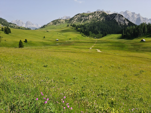 Plätzwiese