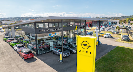 Opel Pau - Groupe HapyAuto