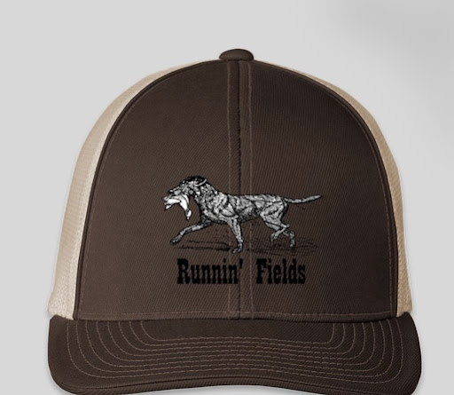 Runnin' Fields - Visual