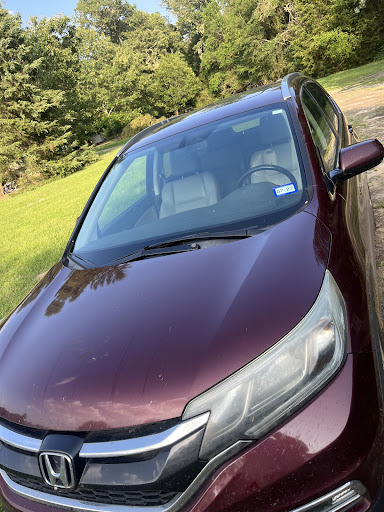 Dodson detailing - Visual