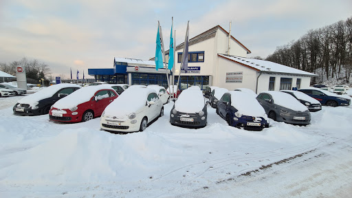 Plettner Automobile - Visual