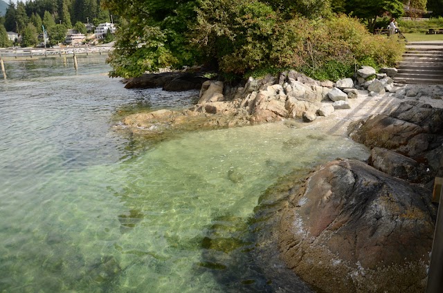 Deep Cove Kayak Centre