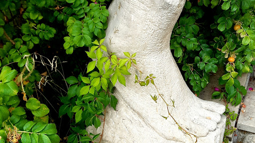 Cabinet Podologiczny Agnieszka Herczyńska