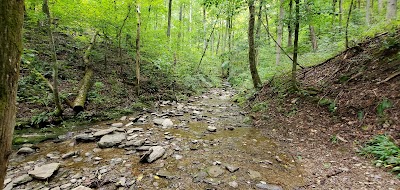 Crooked Arm Cascades