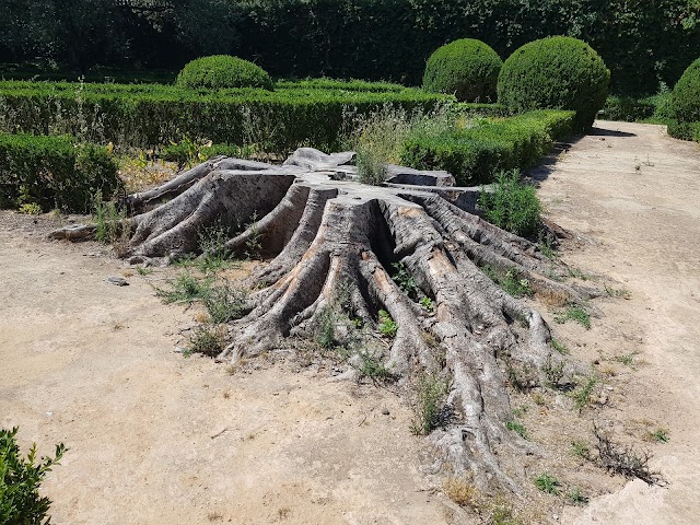 Jardim Botanico de Lisbonne