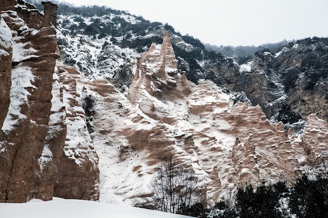 Lame Rosse