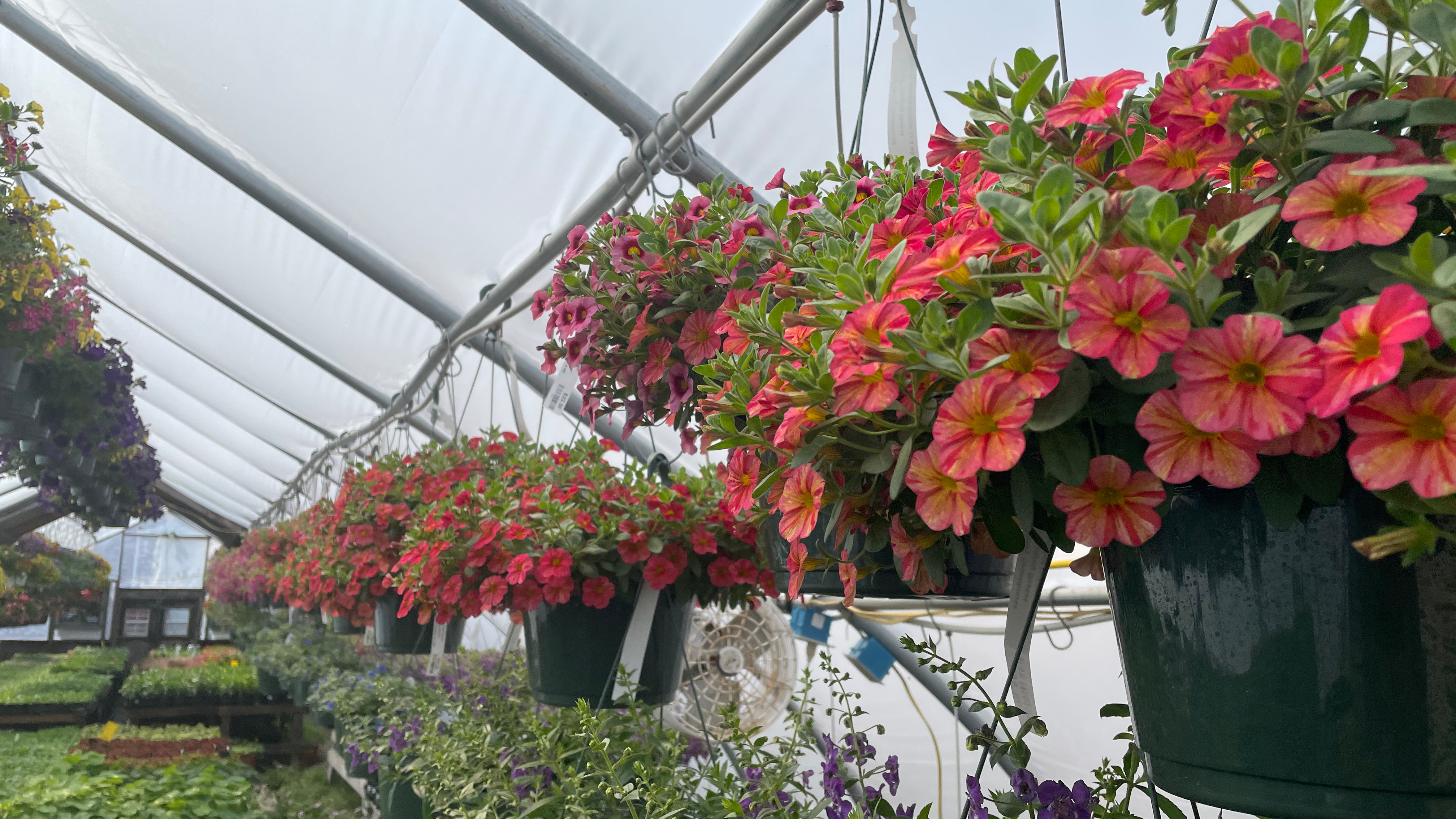 Pratt Family Greenhouse