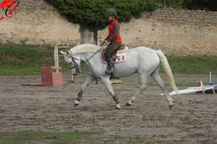 Photo n°19 de Ecuries de Chalendrat à Cunlhat (Pension pour chevaux)