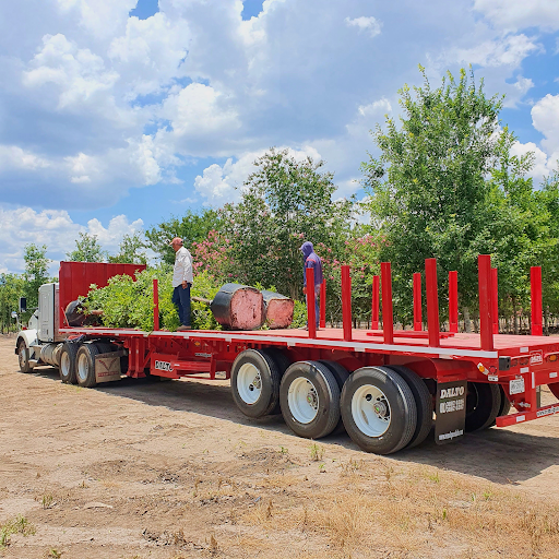 Transportes Viveros de Mexico