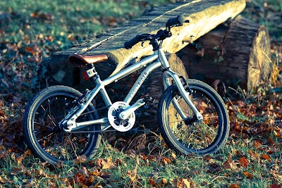 Photos of Roule ma Poule