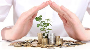 Photo n°2 de AXA Prévoyance & Patrimoine Brice Thenault à Nîmes (Compagnie d'assurance-vie)