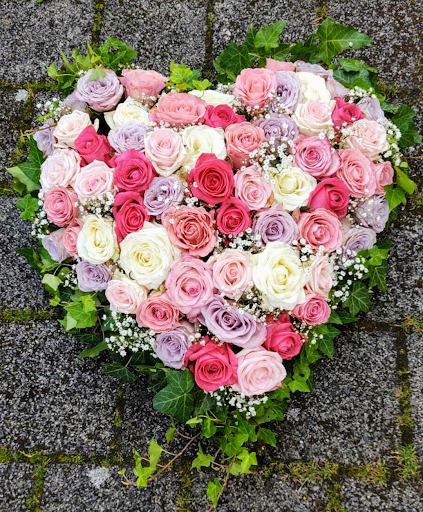 1A Blumen Beck - Thumbnail