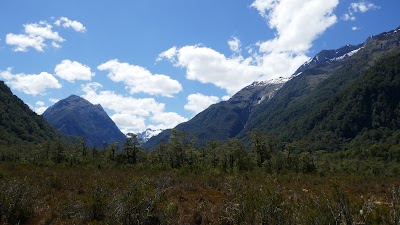 Photos of Clinton Valley Wetland Boardwalk