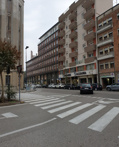 Alleanza - Visual