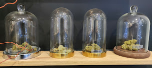 Photo n°30 de Harmonystore | Produits de CBD et cannabis en France à Paris (Magasin de thé)
