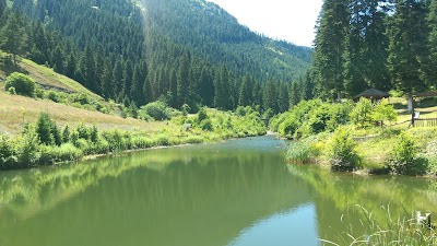 Mamatlar Köyü Mesire Alanı