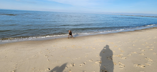 Lewes Public Beach