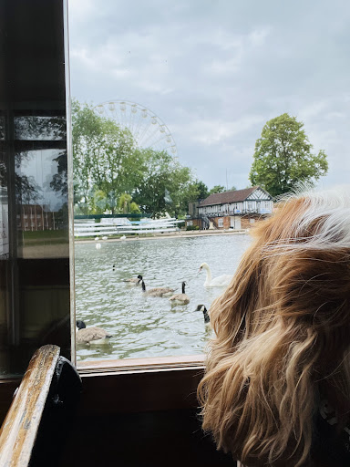 Canal and River Tours Ltd - Thumbnail