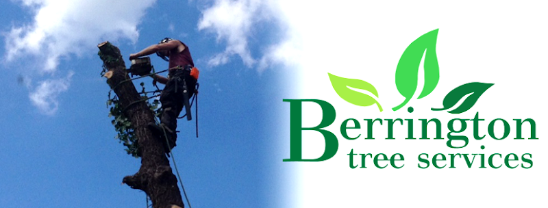 Berrington Tree Services