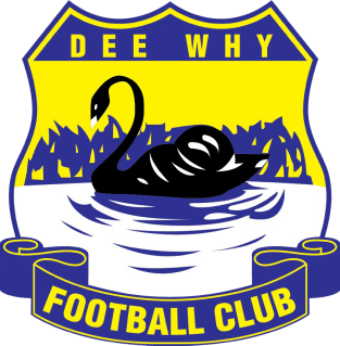 Dee Why Football Club - Thumbnail