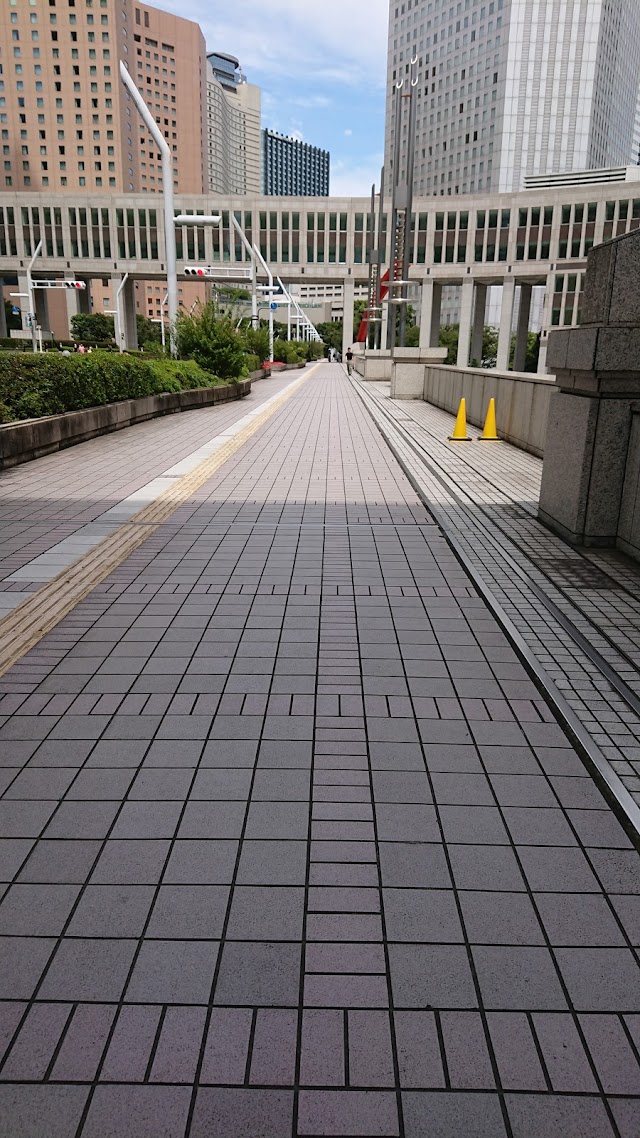 Tokyo Metropolitan Government Builing Obsertory (South)