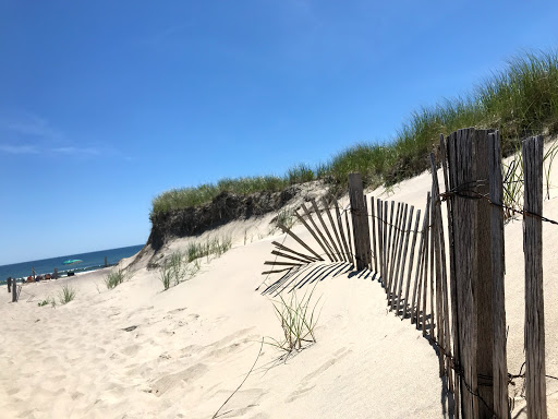 Third Path - Visual