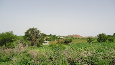 photo of Lesse Elementary School