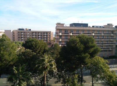 Photos of Hotel Palas Pineda