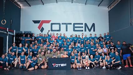 Box Totem Cross Training