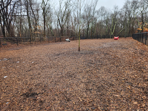 East Providence Dog Park - Thumbnail