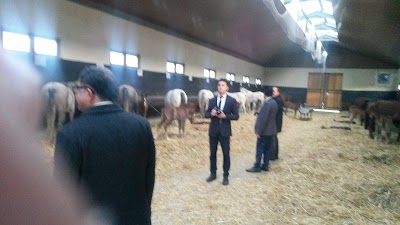 Photos of Halk Ekmek