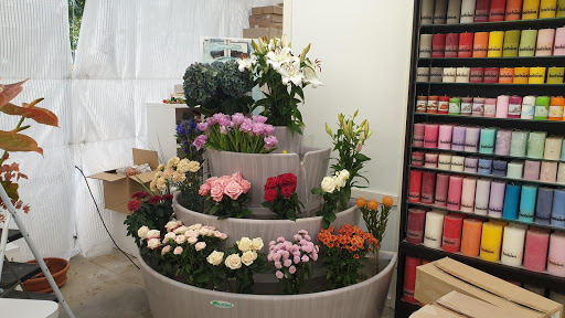 Fiori & Dintorni - Thumbnail