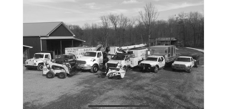Dave's Tree Service