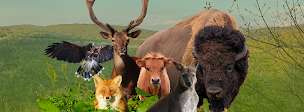 Photo n°1 de Parc Animalier du Hérisson à Doucier (Attraction touristique)
