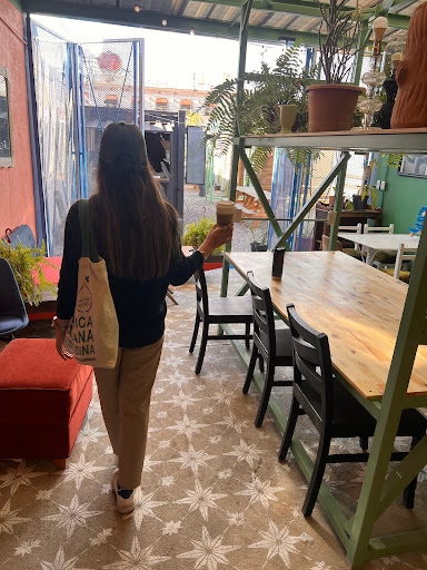 Kensho Poke Bowls Parral