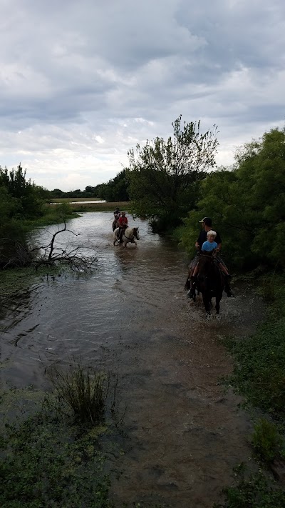 Griffin Cattle & Equine