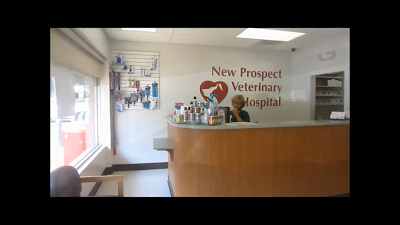 Photos of New Prospect Veterinary Hospital