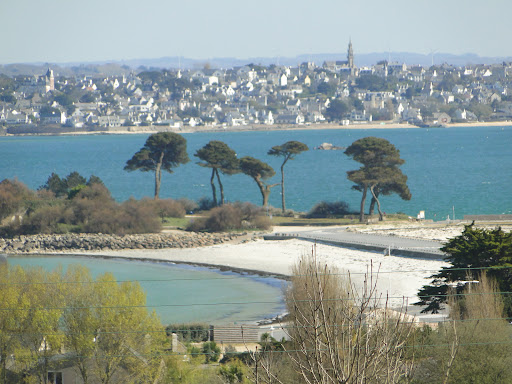 Photo de VILLA LISA : Villa grande capacité avec piscine, tout confort au calme, proche plages, Santec et Roscoff, Finistère, Bretagne à Plouénan (29420)