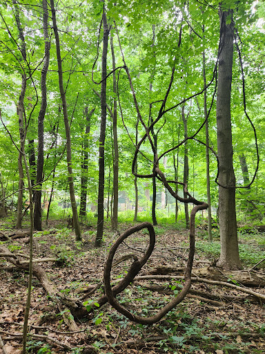 Cinnamon Ridge Park