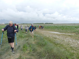 Photo n°19 de randonnée baie de Somme / phoque baie de somme/ guide baie de Somme à Le Crotoy (Agence de voyages)