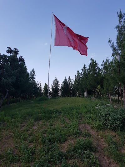 Sıralı Bayraklı Tepe Mahallesi