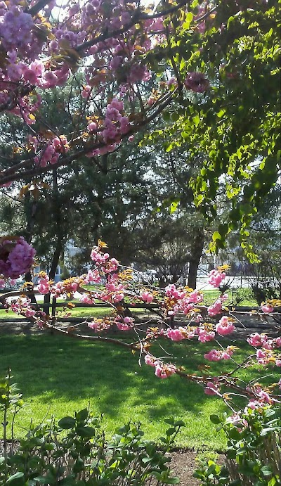 Ocean City Veterans Memorial Park