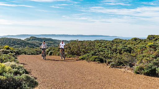 Monkey Rock Mountain Bike Company