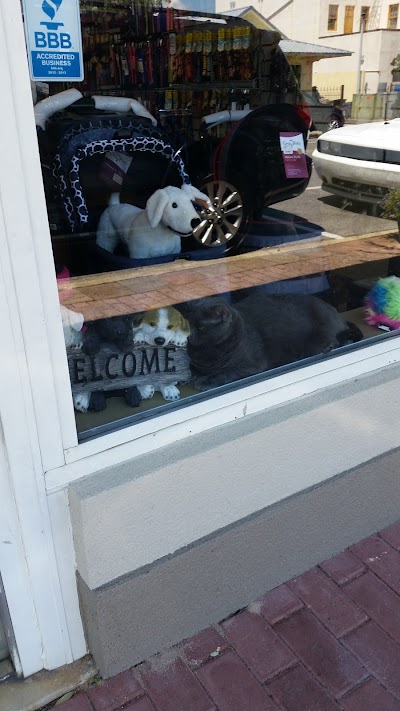 The Waggy Tail Fairhope