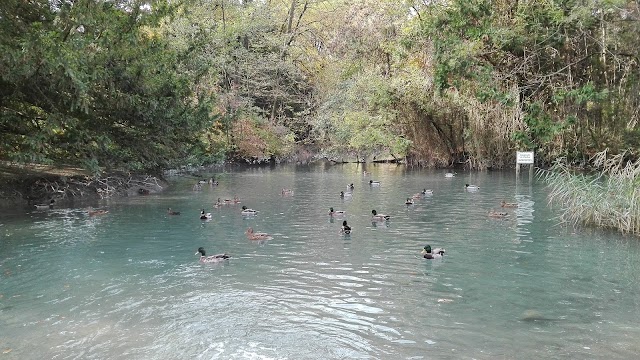 Parc Ouest Picasso