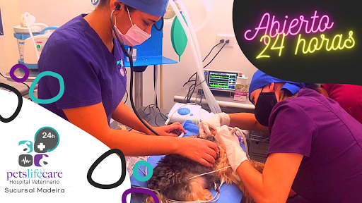 Veterinaria Pets Life & Care Suc. Cumbres Hospital Veterinario - Thumbnail