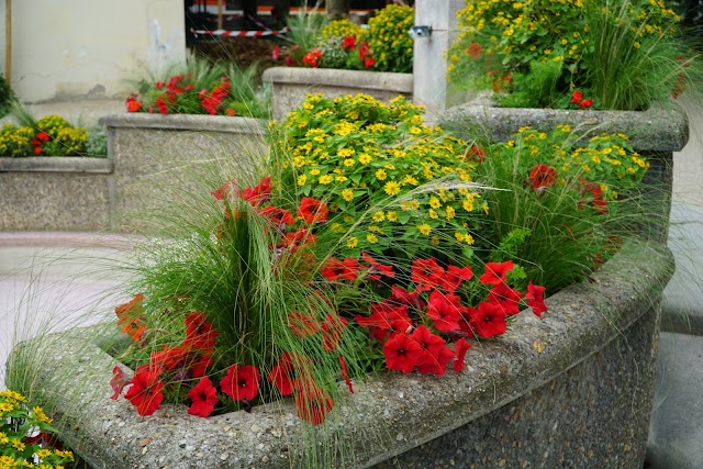 Square Suzanne Buisson