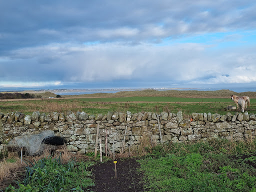 Seahouses - Visual