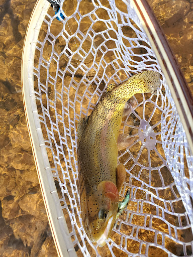 Frying Pan Anglers - Thumbnail